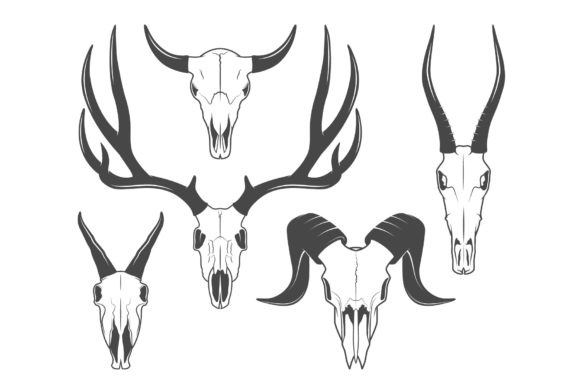 Animal Skulls: Bold Vector Illustrations for Edgy Designs