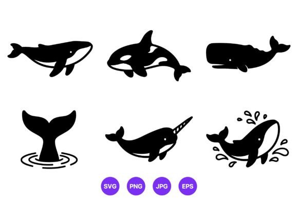 Whale and Narwhal Marine Animal: A Guide to Captivating Design